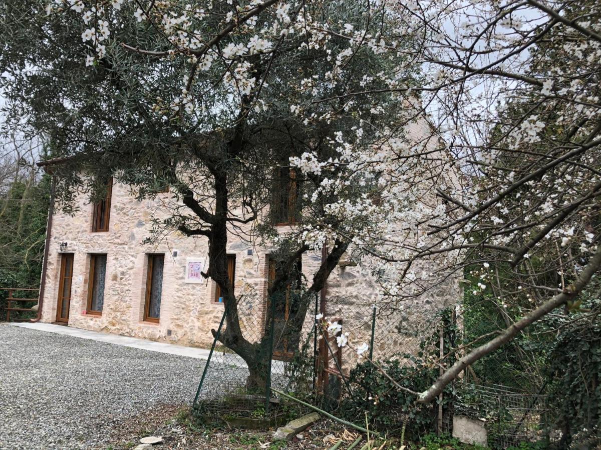 Dolce Vita In Tuscany Cottage Капаннорі Екстер'єр фото