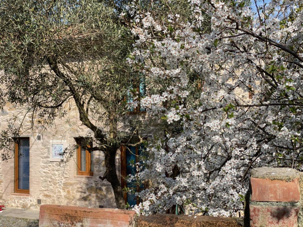 Dolce Vita In Tuscany Cottage Капаннорі Екстер'єр фото