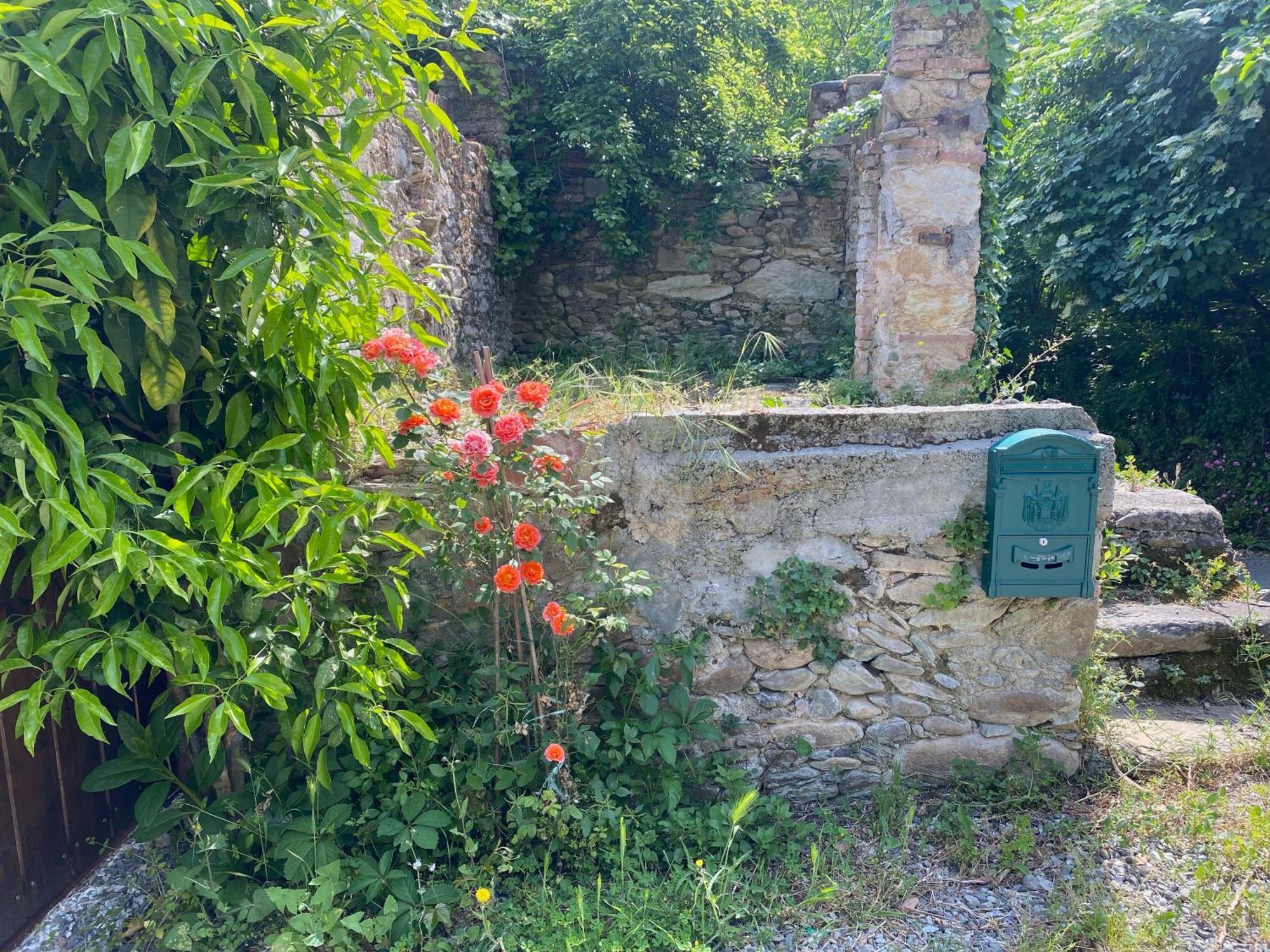 Dolce Vita In Tuscany Cottage Капаннорі Екстер'єр фото
