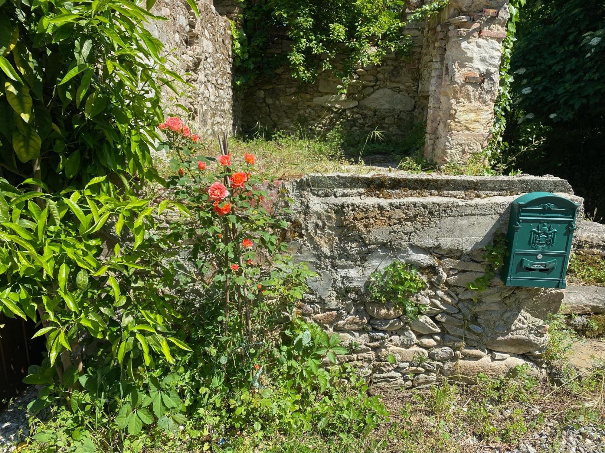 Dolce Vita In Tuscany Cottage Капаннорі Екстер'єр фото